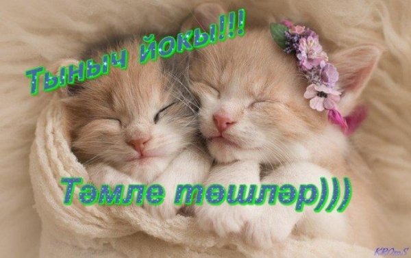 Спокойной ночи по татарски