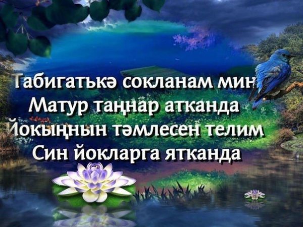 Пожелания спокойной ночи на татарском языке