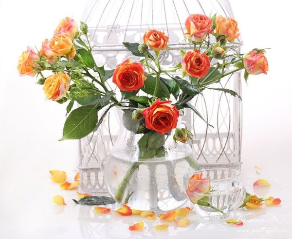 Открытки с днём рождения женщине