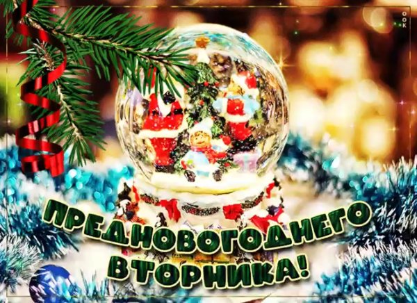С предновогодним вторником
