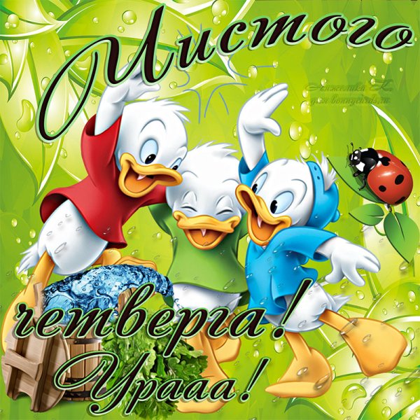 Чистая открытка