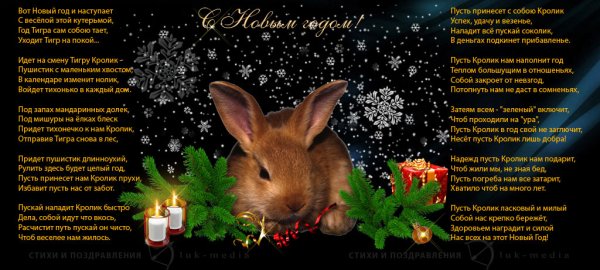 Новый год. Стихи