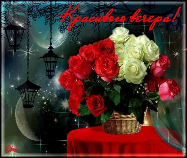 Добрый вечер красивые цветы