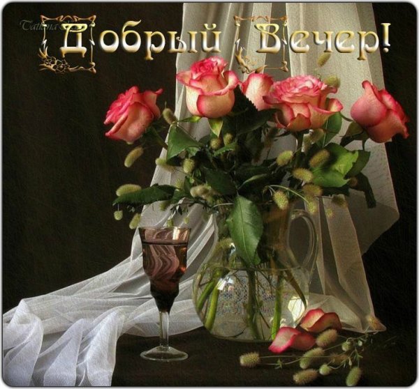 Букет добрый вечер