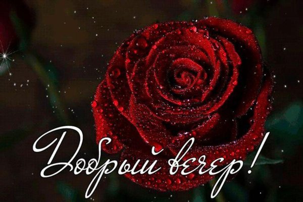 Красивые розы с надписью добрый вечер