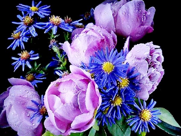 Цветы с пожеланием доброго вечера