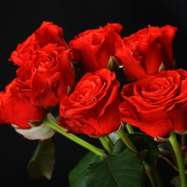 Вечерние цветы для тебя