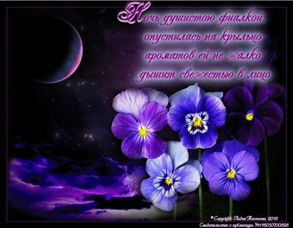 Доброй весенней ночи