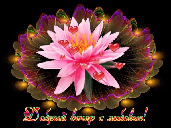 Открытки анимационные цветы