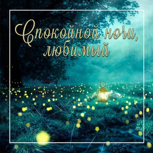 Доброй ночи мужчине любимому