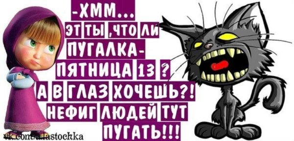 Пятница 13 черный кот