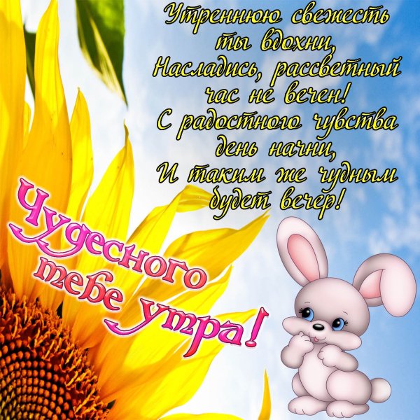 Доброе утро Солнышонок