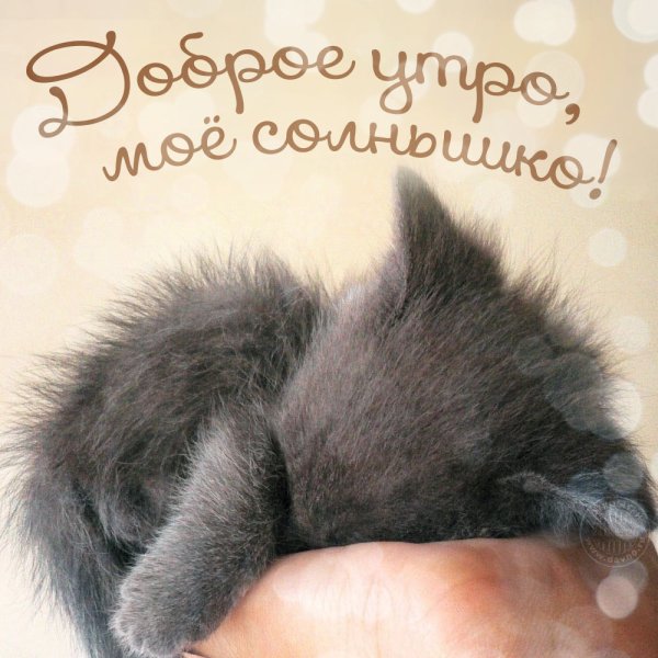 Кофе и белые цветы