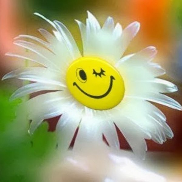 Доброе утро солнце