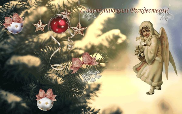 Веселые открытки с Рождеством