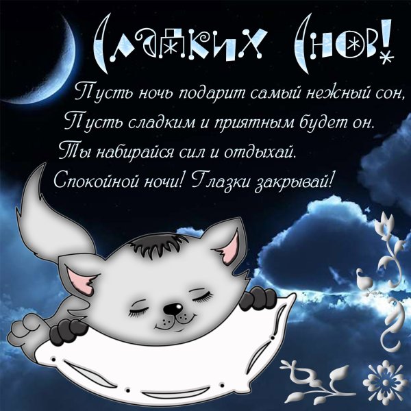 Спокойнойнлчи любимая