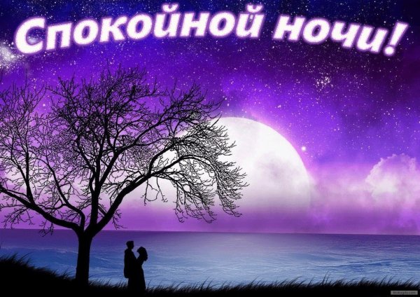 Нежные пожелания на ночь