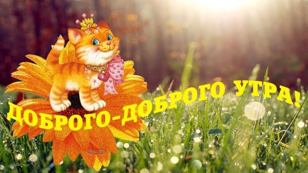 Сказочные пожелания с добрым утром