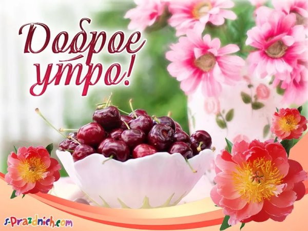 Пожелания с добрым летним утром