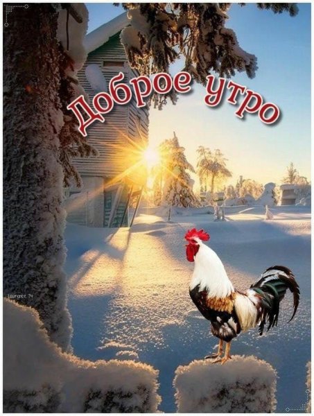 Доброе декабрьское утро
