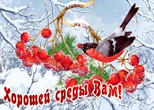 Доброго зимнего вторника
