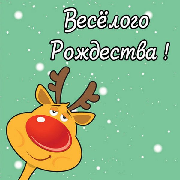 Мини открытки смешные