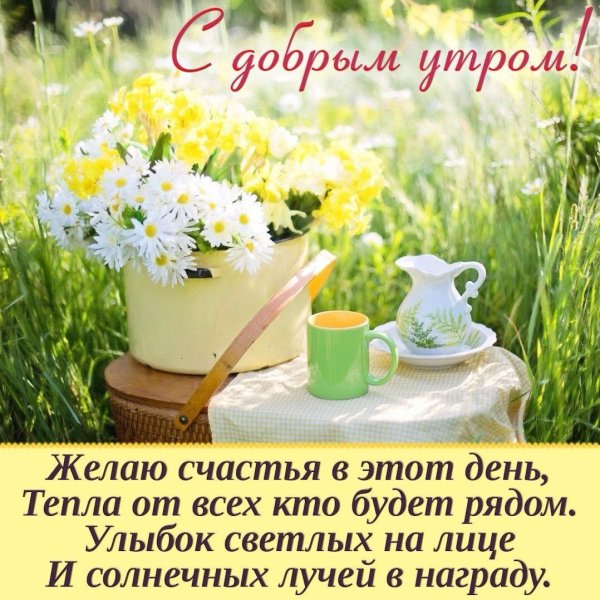 Интересные пожелания с добрым утром