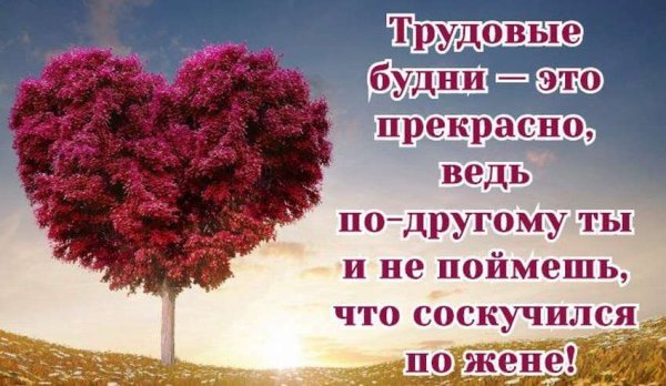 Мужу от жены про любовь