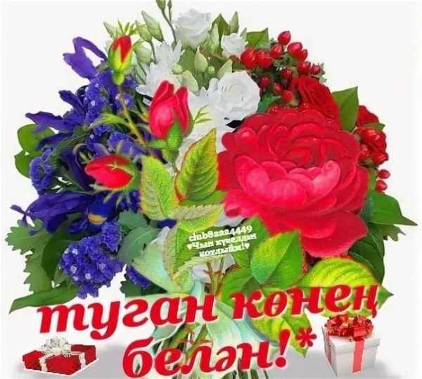 Наиля туган конен