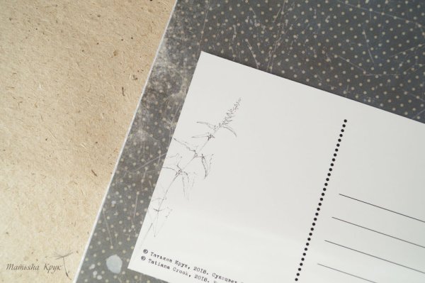 Почтовая открытка сзади шаблон