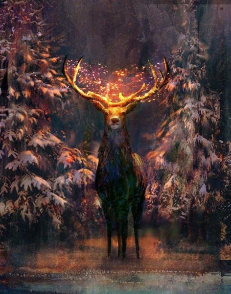 Йоль зимнее солнцестояние