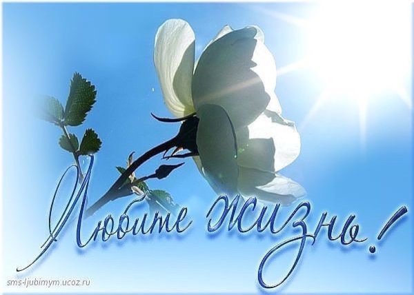Любите жизнь