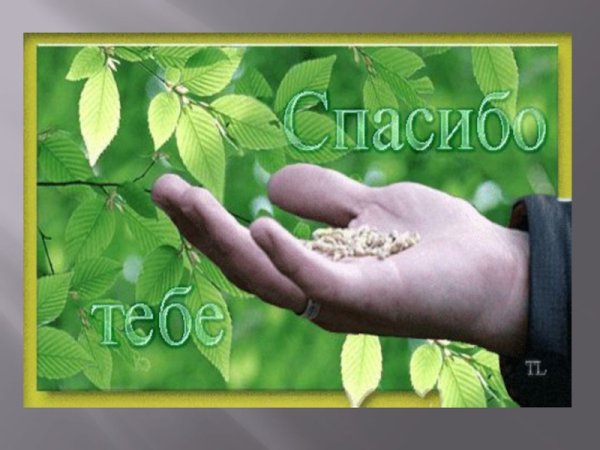 Спасибо за поддержку анимация