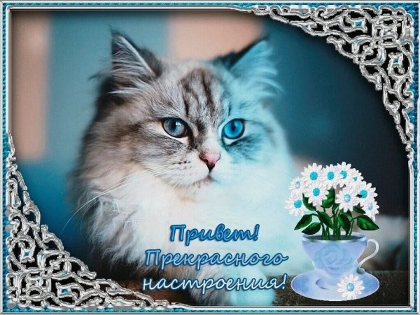 Чудесное настроение