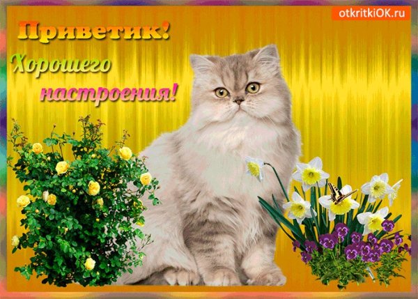 Открытка "хорошего настроения"