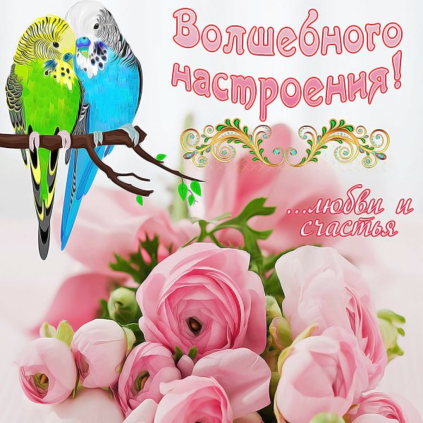 Прекрасного настроения