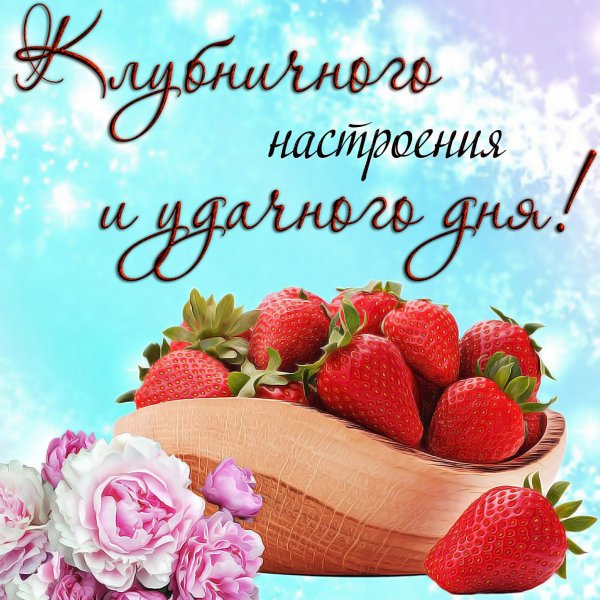 Хорошего дня Наташа и отличного настроения