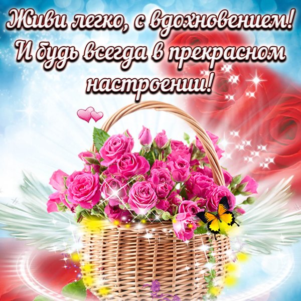 Хорошего дня и отличного настроения