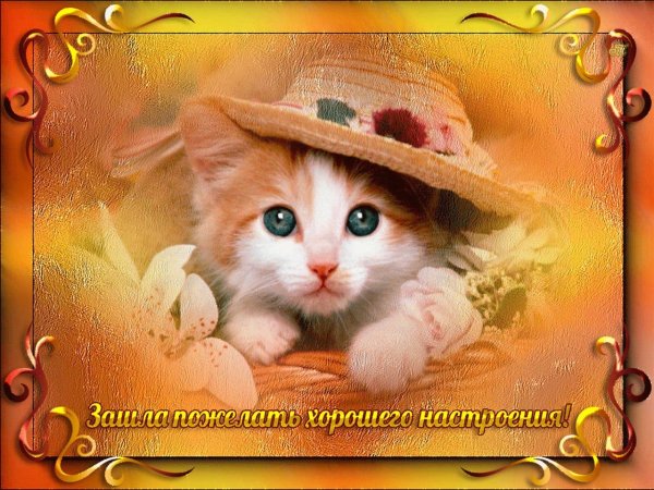 Открытки хорошего дня