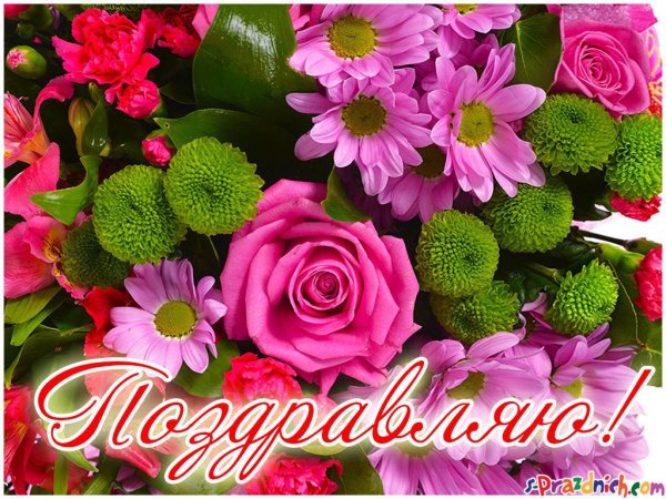Цветы поздравления