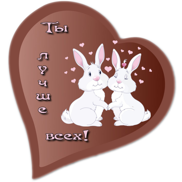 Любимому зайчику