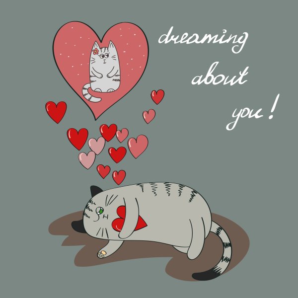 14 Февраля котики