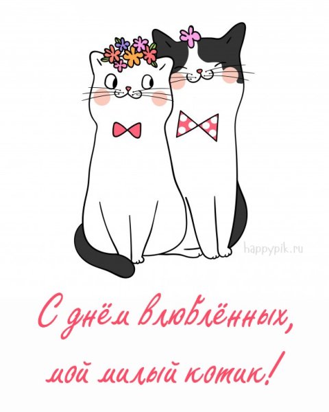 Открытки с днём Святого Валентина с котиками