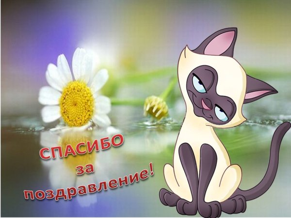 Благодарю за поздравления