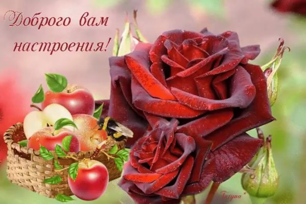 Пожелания доброго дня