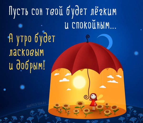 Прикольныетпожелания спокойной ночи