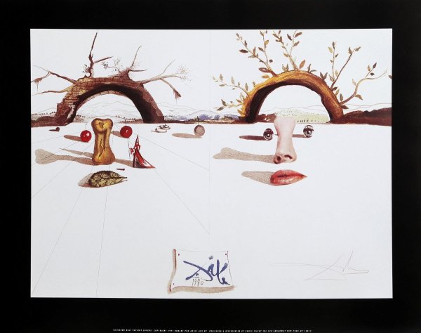 Обложка Вог Сальвадор дали