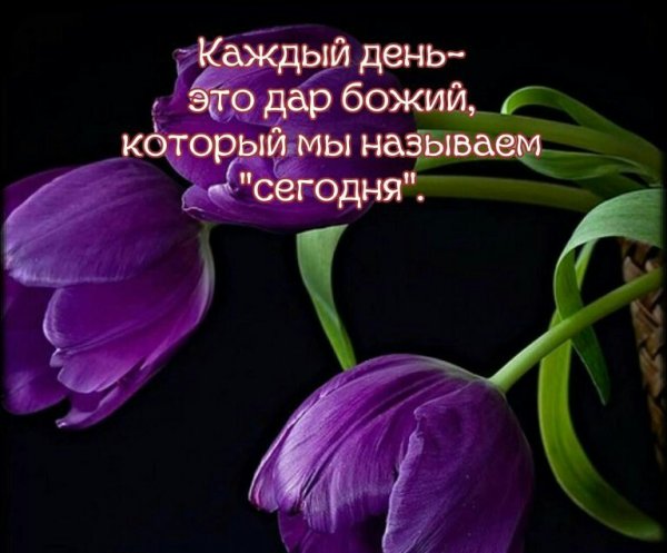 Доброе утро благословенного дня