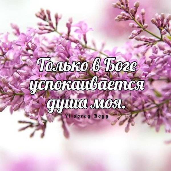 Доброго благословенного дея