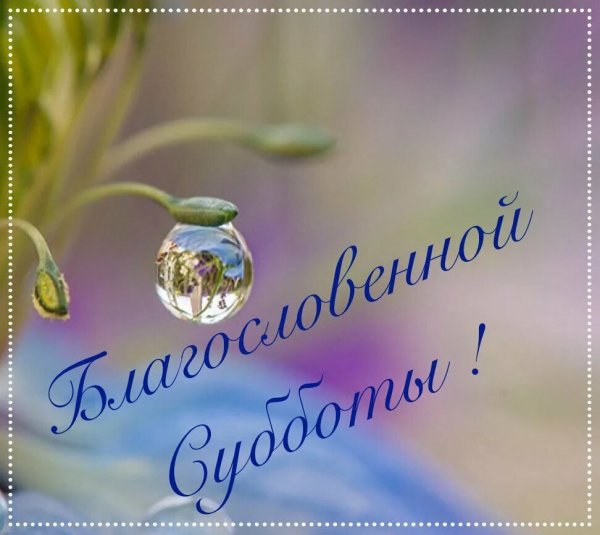Доброе утро благословенного дня